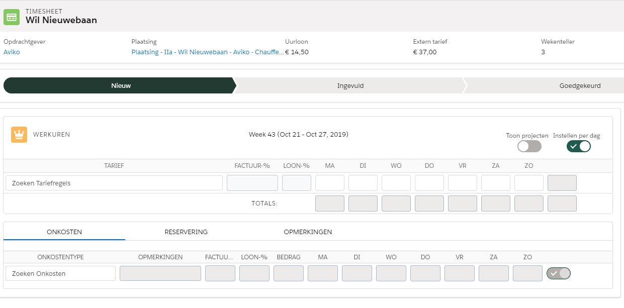 Nieuwe_timesheet_op_plaatsing.JPG